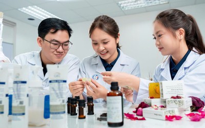 Hội đồng chuyên gia không có quyền quyết định cấp học bổng Quốc gia
