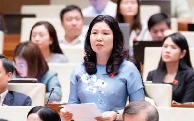 ĐBQH kể 4 câu chuyện trước Quốc hội để nói về phản ứng chính sách