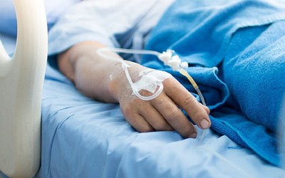 Đang hái chè, người phụ nữ bị con vật màu trắng cắn nguy kịch