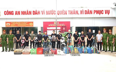 Phá đường dây trộm 2.700 con mèo, bắt 12 đối tượng