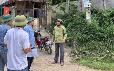 Phát huy vai trò cộng đồng trong chi trả giảm phát thải khí nhà kính tại Nghệ An