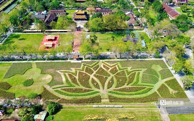 Những điều đặc biệt tạo nên biểu tượng đoá sen khổng lồ chào đón năm mới 2026 ở Huế