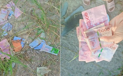 Đi cho chó ăn, người phụ nữ phát hiện tiền mặt rơi rải rác khắp đường
