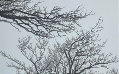 Dự báo thời tiết 11/2: Miền Bắc sắp đón đợt không khí lạnh tăng cường, nền nhiệt giảm mạnh