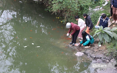Ngày cúng ông Công, ông Táo: Cá chép "ngộp thở" vì tro rác phủ kín mặt sông
