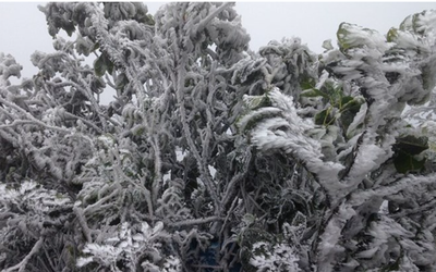 Dự báo thời tiết 12/2: Miền Bắc đón không khí lạnh tăng cường, trời chuyển mưa rét