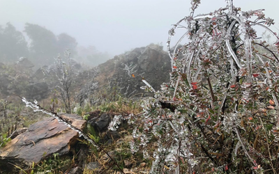 Không khí lạnh tăng cường dồn dập, miền Bắc rét sâu và sương mù dày đặc