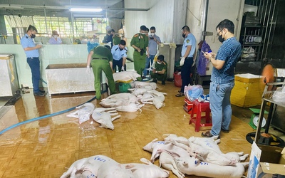 Siết kiểm soát từ lò mổ đến chợ truyền thống trước Tết Bính Ngọ 2026