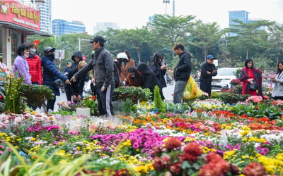 Dự báo thời tiết 13/2: Miền Bắc sắp đón đợt không khí lạnh mạnh tràn về, trời chuyển rét