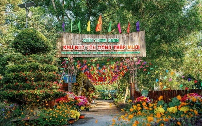 Kiến trúc “thành phố thẳng đứng” tại Điểm tham quan Khu bảo tồn Đồng Tháp Mười