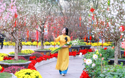 Dự báo thời tiết 17/2: Miền Bắc đón đợt không khí lạnh mạnh ngày đầu năm mới Tết Bính Ngọ, trời mưa rét