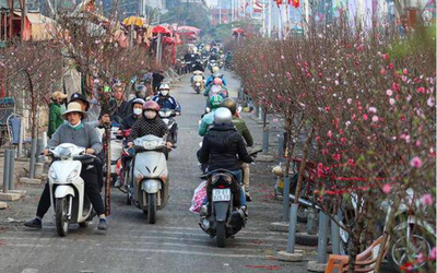 Dự báo thời tiết 16/2: Miền Bắc đón đợt không khí lạnh mạnh, nhiệt độ giảm sâu, rét đậm trên diện rộng