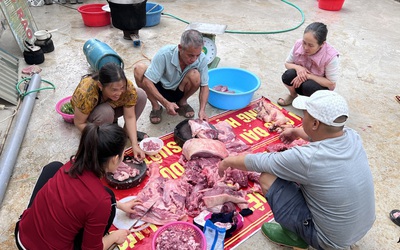 Tục "đụng lợn", "đụng bánh chưng" giữ nhịp Tết làng quê