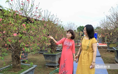 Tận hưởng Tết trọn vẹn, chuyên gia tim mạch cảnh báo 5 điều tránh đột quỵ