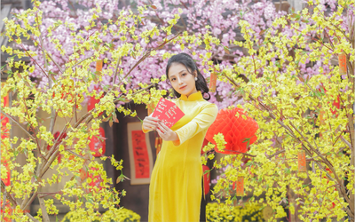 Dự báo thời tiết 19/2 (mồng 3 Tết Bính Ngọ): Miền Bắc sắp đón thêm đợt không khí lạnh tăng cường mới, trời mưa rét