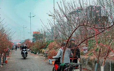 Miền Bắc dồn dập đón đợt không khí lạnh cực mạnh, trời trở rét đêm Giao thừa