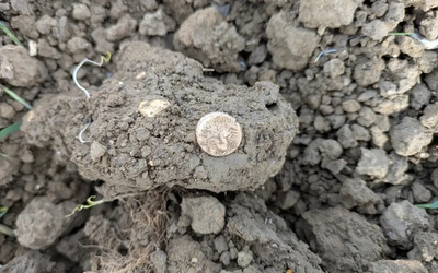 Dò kim loại, người đàn ông phát hiện kho báu quý giá trên cánh đồng