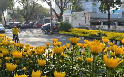 Hoa Tết "xuống phố", phố phường Đồng Nai ngập tràn sắc xuân