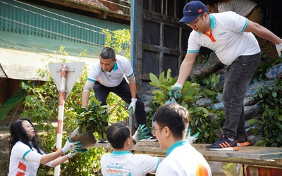 ABBANK trao tặng 100.000 cây quế cho người dân xã Thông Thụ, tỉnh Nghệ An