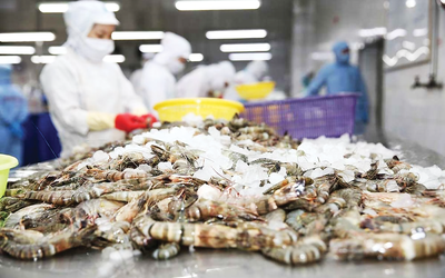 Mỹ giảm mạnh thuế chống bán phá giá với tôm Việt Nam