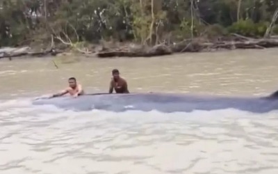 Đi đánh cá, ngư dân phát hiện thứ khổng lồ dài 15 mét nổi trên sông