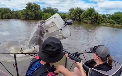 Hà mã hung hãn lật úp chiếc thuyền, người đàn ông rơi xuống sông