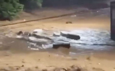 Người dân hét lớn khi bắt gặp cảnh tượng đáng sợ trên phố