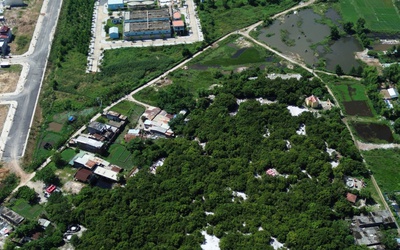 Đà Nẵng: Người dân quyết giữ rừng ngay đô thị giữa thời đất vàng