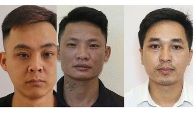 Triệt phá đường dây mua bán 1,5 tỷ đồng một lá gan, bắt 3 đối tượng