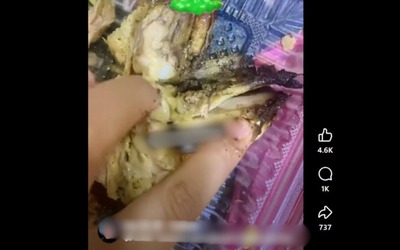 Mua gà về ăn, người phụ nữ phát hiện đầy giòi bám bên trong