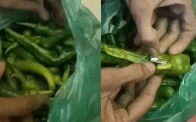 Tài xế xe buýt sốc nặng khi tìm thấy thứ bên trong những quả ớt xanh