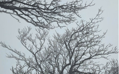 Miền Bắc liên tiếp đón không khí lạnh cường độ mạnh, trời rét đậm