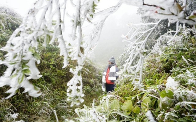 Dự báo thời tiết 5/2: Miền Bắc đón đợt không khí lạnh cực mạnh, dự báo khi nào rét đậm đạt đỉnh?