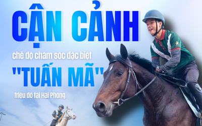 Cận cảnh chế độ chăm sóc đặc biệt "tuấn mã" triệu đô tại Hải Phòng