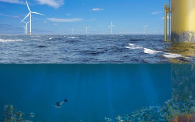 Khi trang trại điện gió ngoài khơi không chỉ tạo ra điện