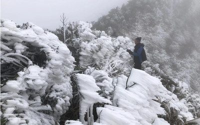 Tin gió mùa Đông Bắc mới nhất: Miền Bắc sắp đón đợt rét đậm dưới 3 độ C, nguy cơ xảy ra băng giá