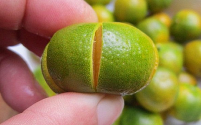 Loại quả là “báu vật" ngày Tết, đi chợ thấy bỏ qua quá phí