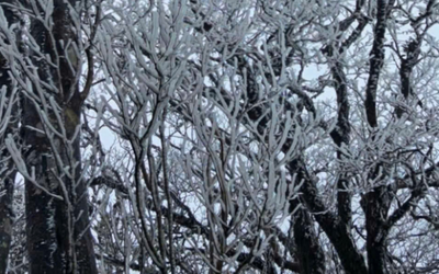 Dự báo thời tiết 10/2: Khi nào miền Bắc chấm dứt rét đậm?