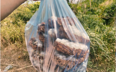 Con đặc sản “nhìn đã thấy sợ” ở Tây Bắc xưa không ai ngó, nay thành món ăn được dân nhậu mê tít săn lùng