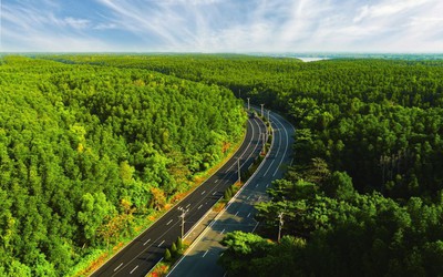 VnExpress Marathon Green Paradise Cần Giờ - Hành trình vạn bước chạy “đánh thức” biểu tượng du lịch mới của TP.HCM