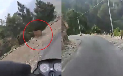 Báo dữ ra đường tấn công, người đi xe máy hoảng sợ la hét