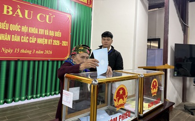 Gần 62 triệu cử tri đã đi bỏ phiếu bầu cử