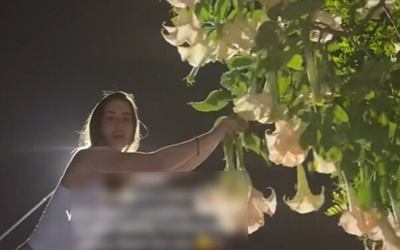 Cô gái hái hoa "cực độc" tặng bạn thân và cái kết