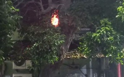 Cháy lớn tại bệnh viện, 10 bệnh nhân tử vong