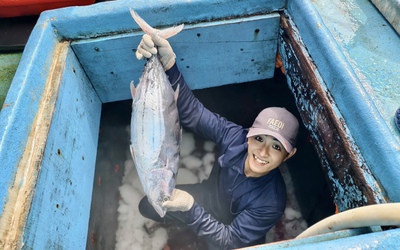 Cận cảnh hầm tàu đầy ắp cá ngừ đại dương sau chuyến biển bội thu