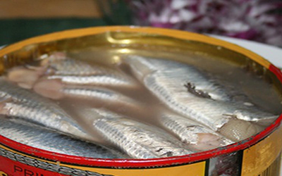 Việt Nam sở hữu loại cá "tốt nhất thế giới", giá bình dân, ngoài chợ bán đầy