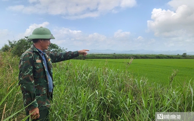 Chuyện về "lão nông" ở phá Hạc Hải - Kỳ cuối: Mô hình kinh tế cho thu nhập "khủng"
