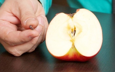 Những loại trái cây có hạt chứa độc tố, cẩn thận kẻo "ôm bệnh" vào thân