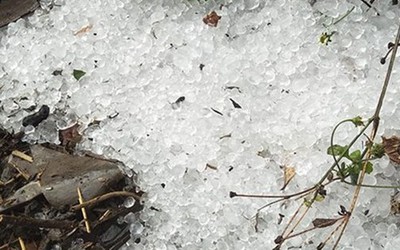 Mưa đá, giông lốc "càn quét" miền Bắc: Hàng trăm nhà tốc mái, hoa màu tan hoang