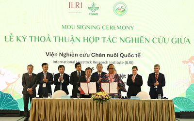 Khoa học và công nghệ số: Chìa khóa để chuyển đổi hệ thống chăn nuôi